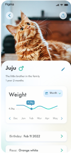 Mobile app example made with Fabulous